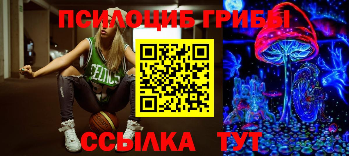 Прохладный  Галлюциногенные грибы Psilocybine cubensis  Вход с VPN 
