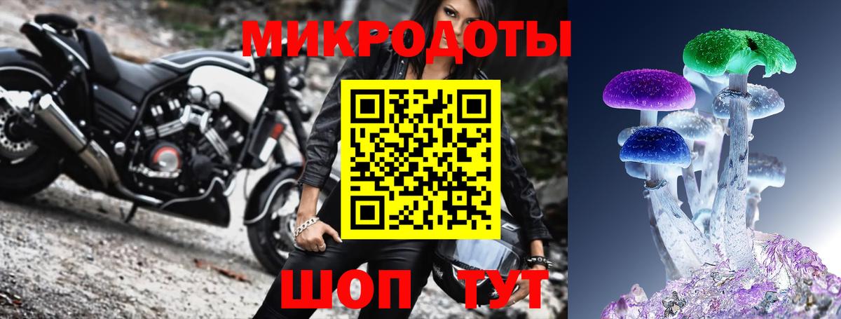 Псилоцибиновые грибы Psilocybe Прохладный